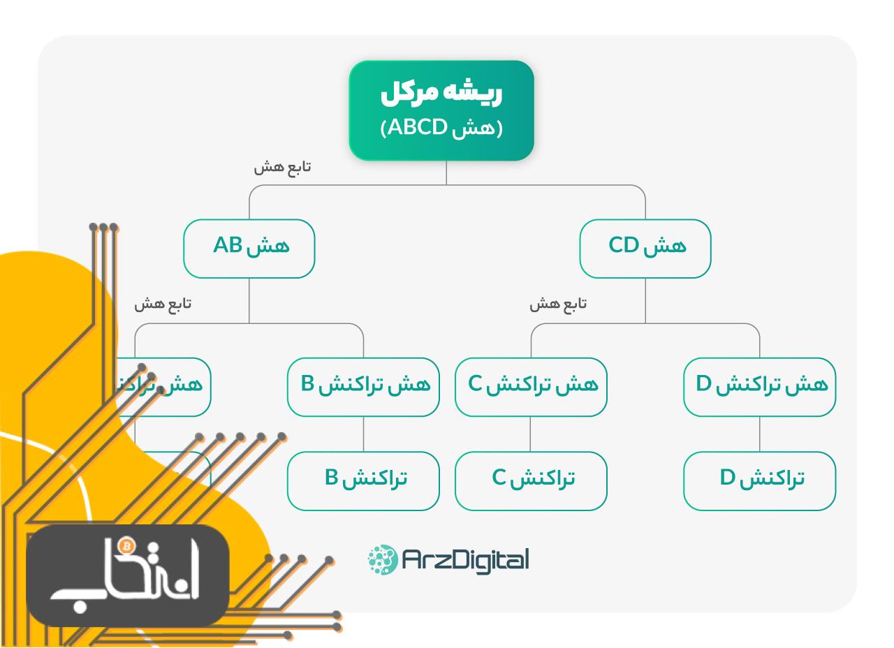 ریشه مرکل