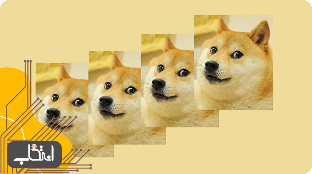مشهورترین NFTهای تقسیم‌شده؛ دوج میم (Doge Meme)
