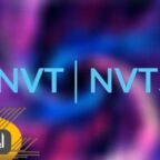 NVT و NVTS چیست؟
