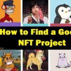 شناسایی پروژه های برتر NFT