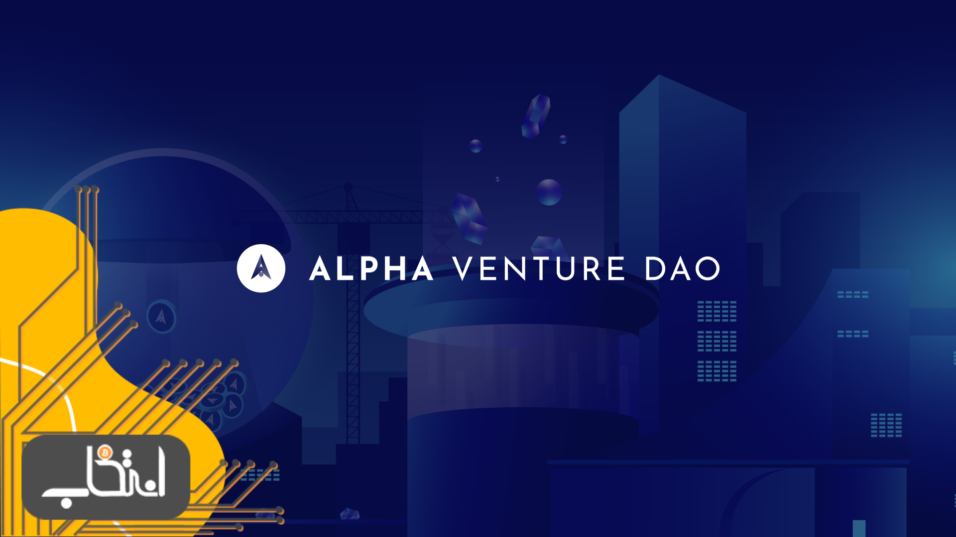 تیم توسعه دهنده پلتفرم Alpha Venture Dao