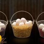 راهنمای متنوع‌سازی در سبد دارایی؛ همه تخم مرغ‌هایتان را در یک سبد نگذارید