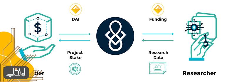 دلیل اهمیت پلتفرم Molecule