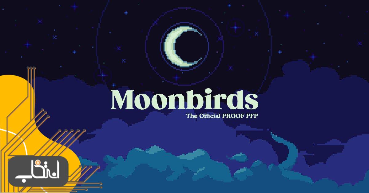 سرمایه گذاری مجموعه MoonBirds