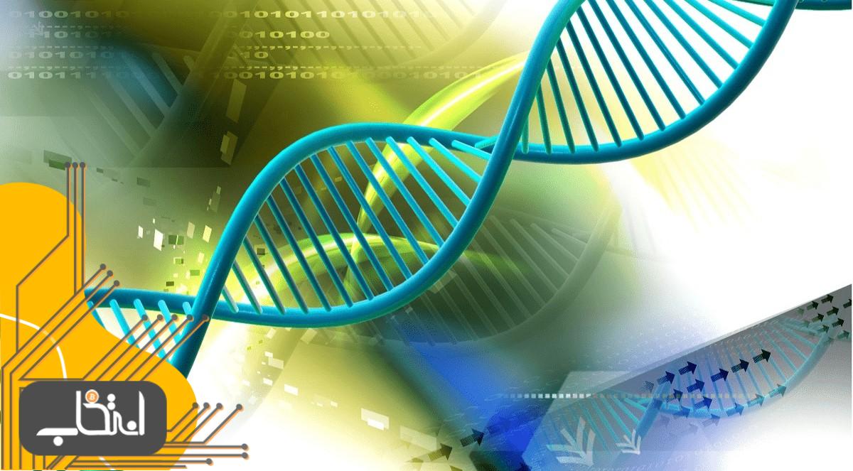 آشنایی با نقش فناوری بلاک چین در پروژه ژنوم انسان