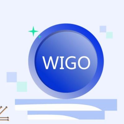 ویگو سواپ (WIGO) چیست؟ راهنمای جامع ارز دیجیتال WigoSwap
