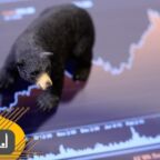 بازار خرسی (Bear Market) چیست؟