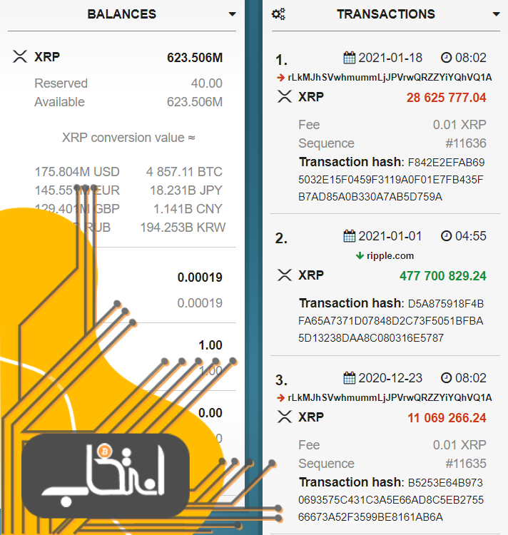 ریپل