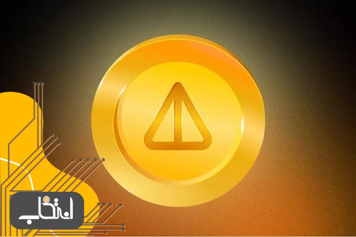 تیم توسعه دهنده Notcoin