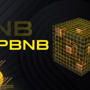 opBNB چیست؟ همه‌چیز درباره رول‌اپ لایه دوم بایننس اسمارت چین