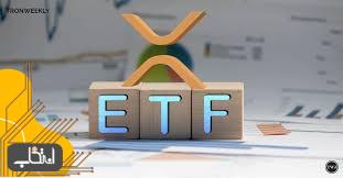 مدیرعامل ریپل: ETF ریپل احتمالا تا سال ۲۰۲۵ راه‌اندازی خواهد شد