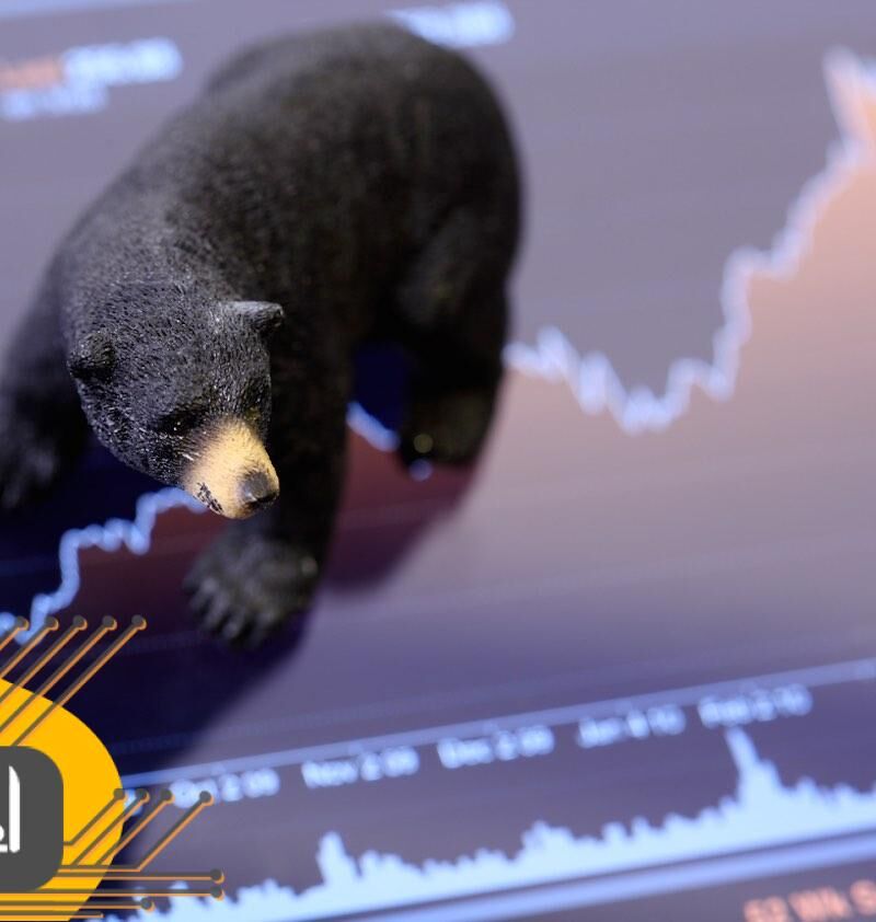 بازار خرسی (Bear Market) چیست؟