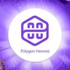 پالیگان هرمز (Polygon Hermez)