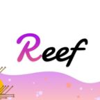 سرمایه‌گذاری ۲۰ میلیون دلاری روی پروژه Reef