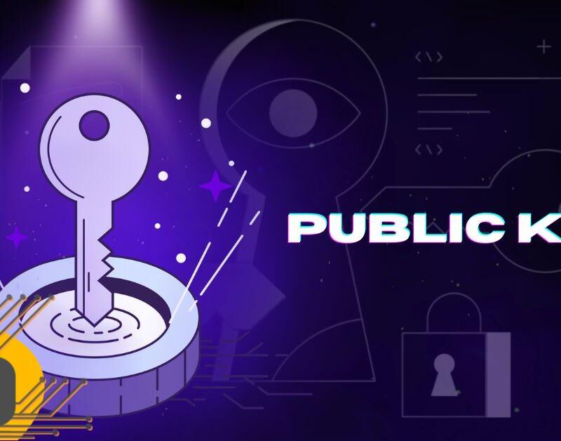 کلید عمومی چیست؟ کلید عمومی یا Public Key + کاربردها